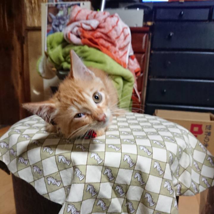 E95ccda7 8b44 4f5c a585 f43e930bbd9c 1628078542846