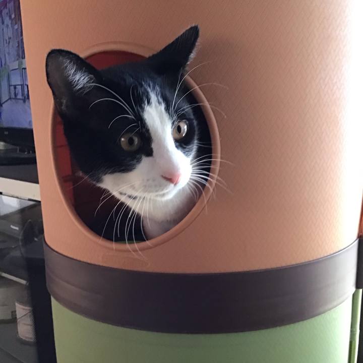 E95cd10a 13b8 4066 a8da e4d78aa51358 1638590801428