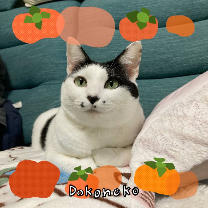 E95d2dc8 e177 42e2 a2b1 6039c7b6f924 1761481379362