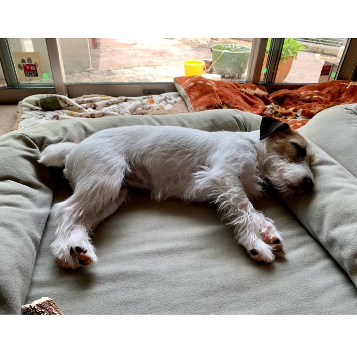 E95d5951 3b04 4e40 a478 223ec96c7bac 1620473060618