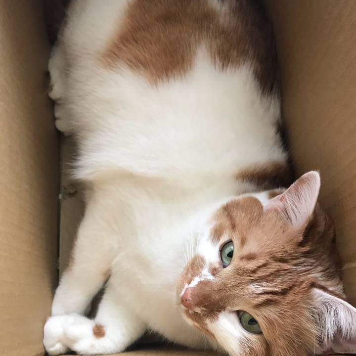 E95d65f1 f408 4e83 934d 99665bd76111 1557621787477