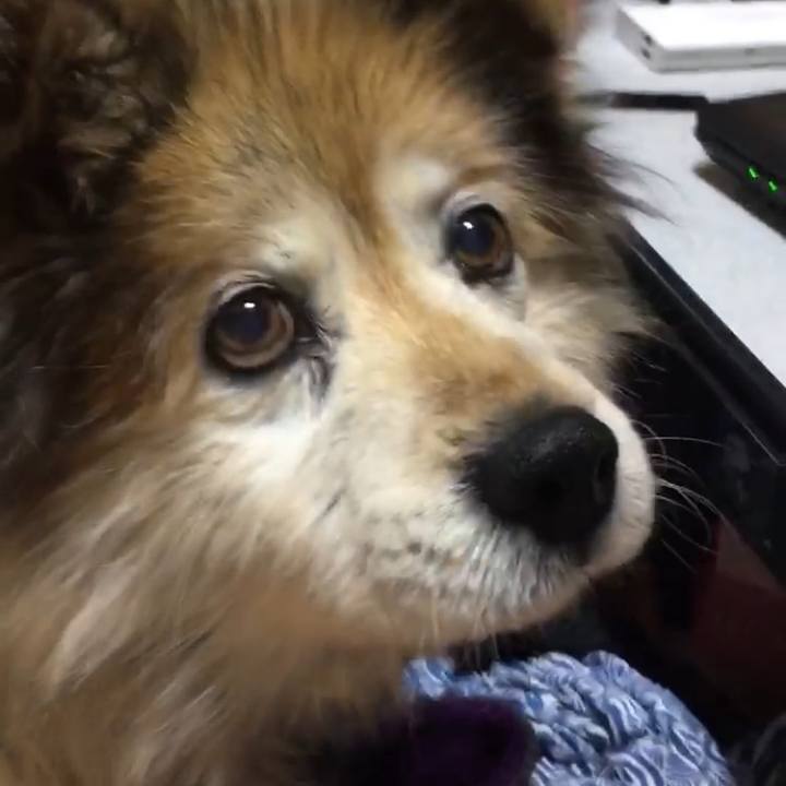 E95d6cc5 320a 4482 b5ed 71a2ccdcf511 1626309841068