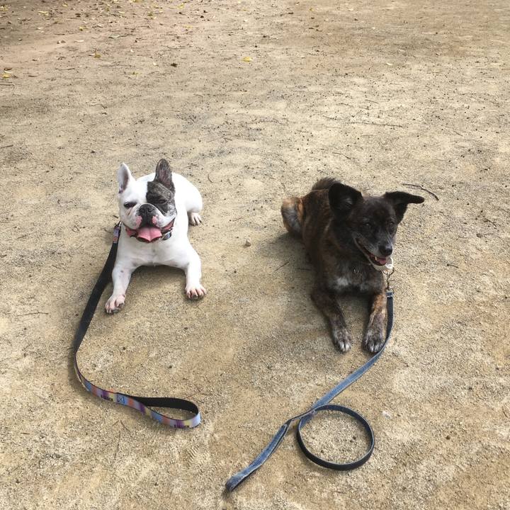 E95d6fea a5b7 41e4 ad9c 0a5e3b58ef86 1559546437627