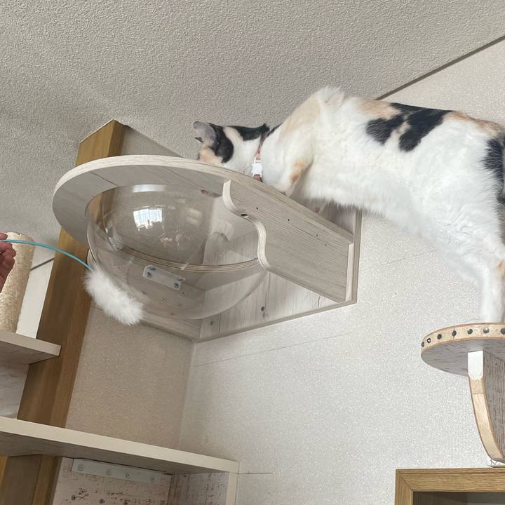 E95d7821 a2ce 4999 bd14 a67c9c63527b 1736753212696