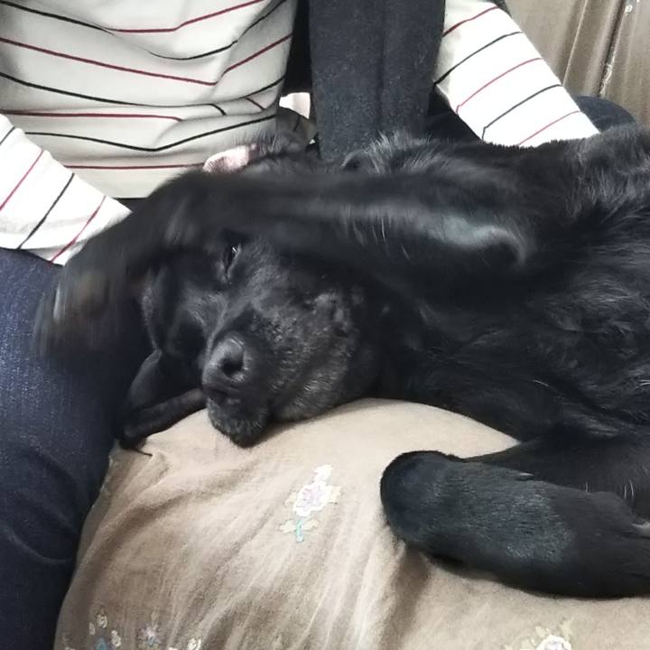 E95d9086 aecc 4f22 bcd1 1bbe10a76bac 1745620397988