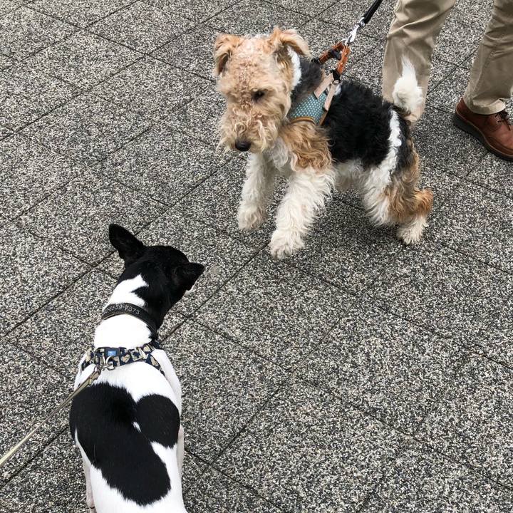 E95dd150 7fe3 43b5 8157 0e1edcd99238 1556499111001