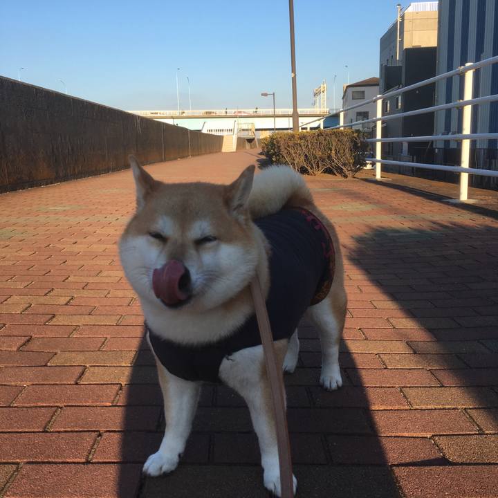 E95dd27f 46cd 4b9e ac5e 8bc6800f0550 1547451335894