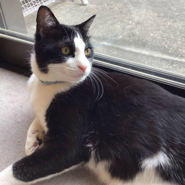 E95de0ca 2fa3 4d8a 80b7 79bd129f4763 1682766596473