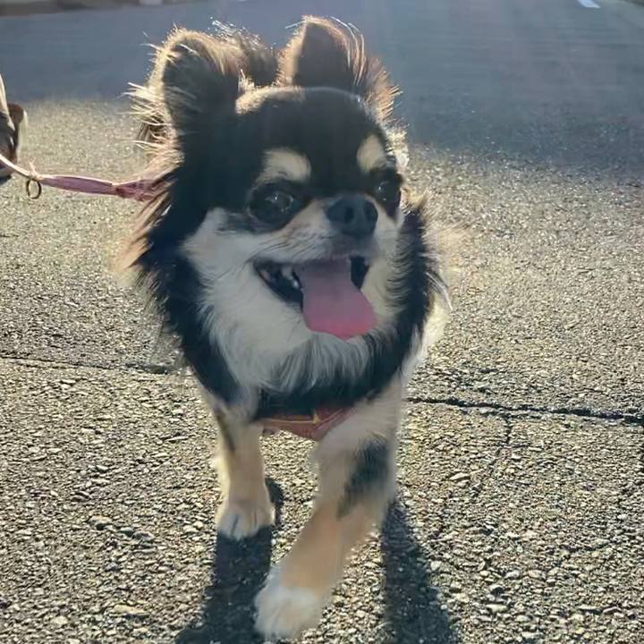 E95e4a14 dbc7 4fd5 966a 81317083e9b6 1630361223291