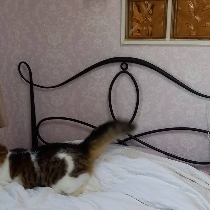 E95e550c 2654 4a7a b046 af59d221cd24 1636837273400