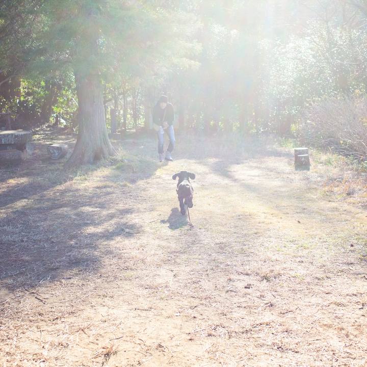 E95e6635 9857 4475 b0ec bc474b066c8f 1578146893446