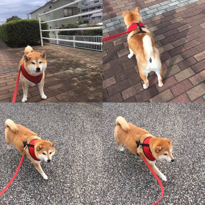 E95e666b 2b75 42bf ab5c af8aa02a208b 1604017671143