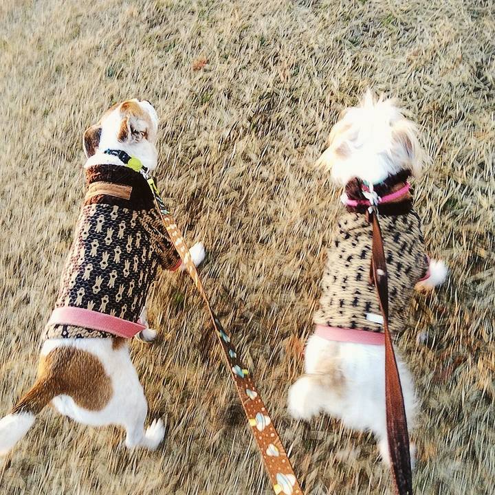 E95e8088 e97d 4e73 84f4 bc6277586187 1580641115681