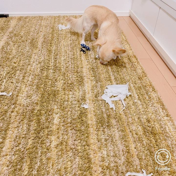 E95e8140 f88a 4fc8 956c 704e7d8ef329 1602155985734