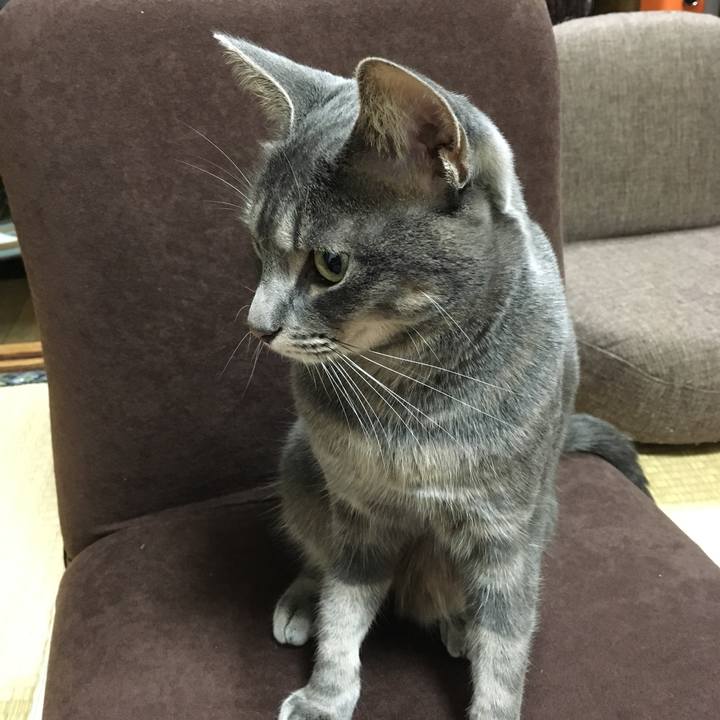 E95eb26f f123 4267 9255 e8fa1ea34daa 1508075266515