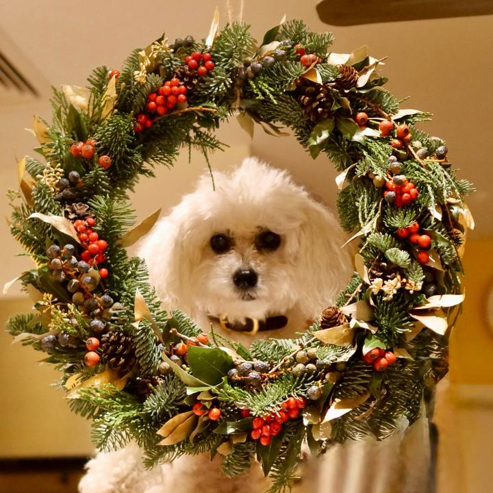 E95eb795 c75b 425d beb6 90aa2581490a 1765111434268