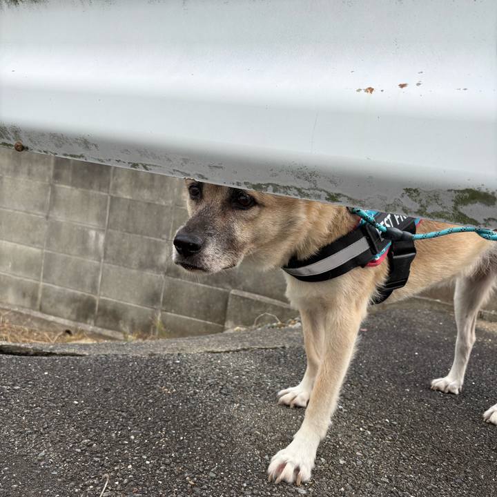 E95ec120 45a1 4203 afb8 673a05cf5850 1759925767915