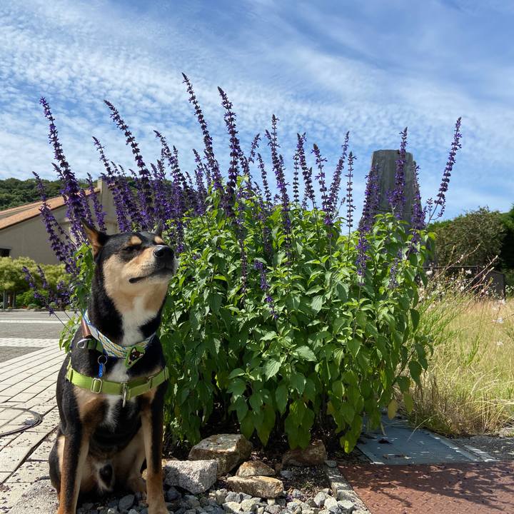 E95f00d8 955c 48a9 9f72 ed1f2825a594 1624271557313