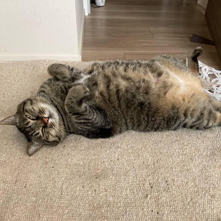 E95f0dbc 9229 449d 9f73 61a0a3e2787c 1680924306885