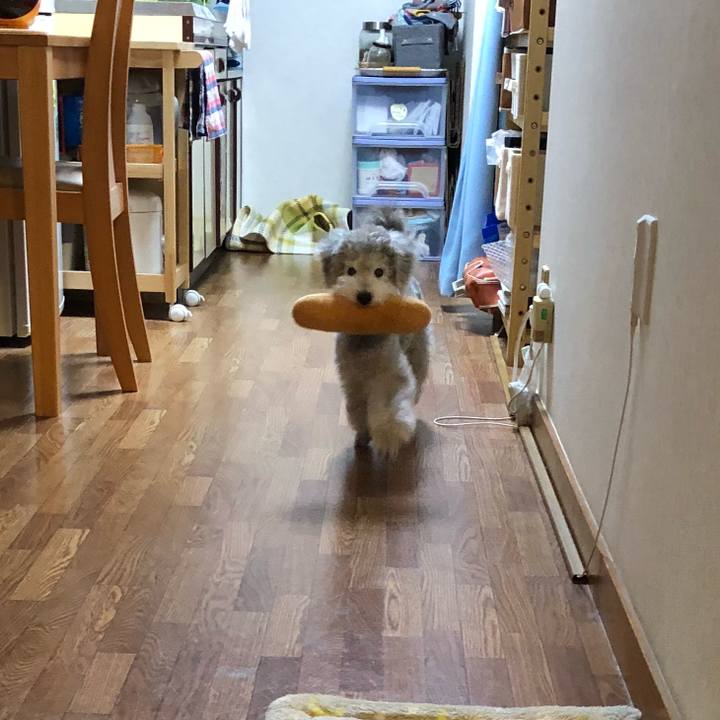 E95f3882 8f33 4405 99ea c306880fe218 1525734117127