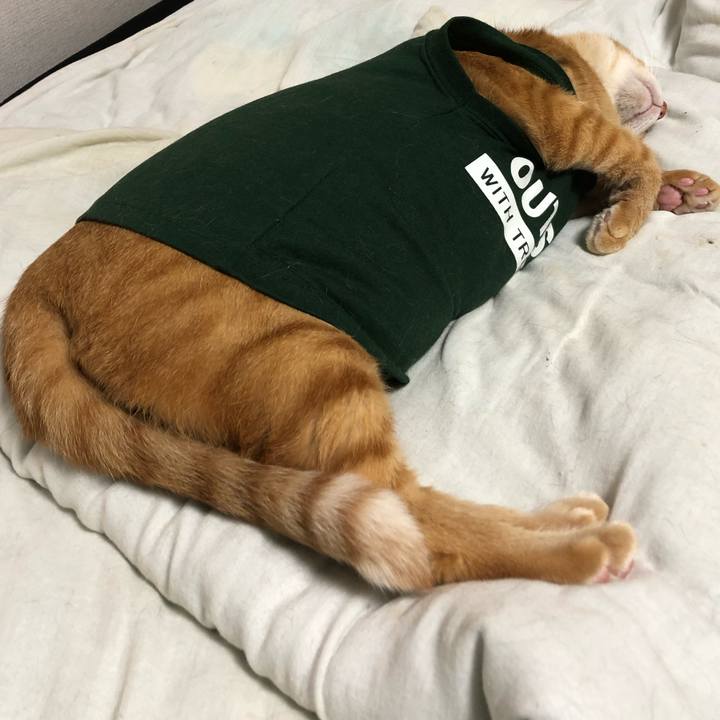 E95f7d66 7ceb 426a adf3 f9b9ade291ce 1631014382105