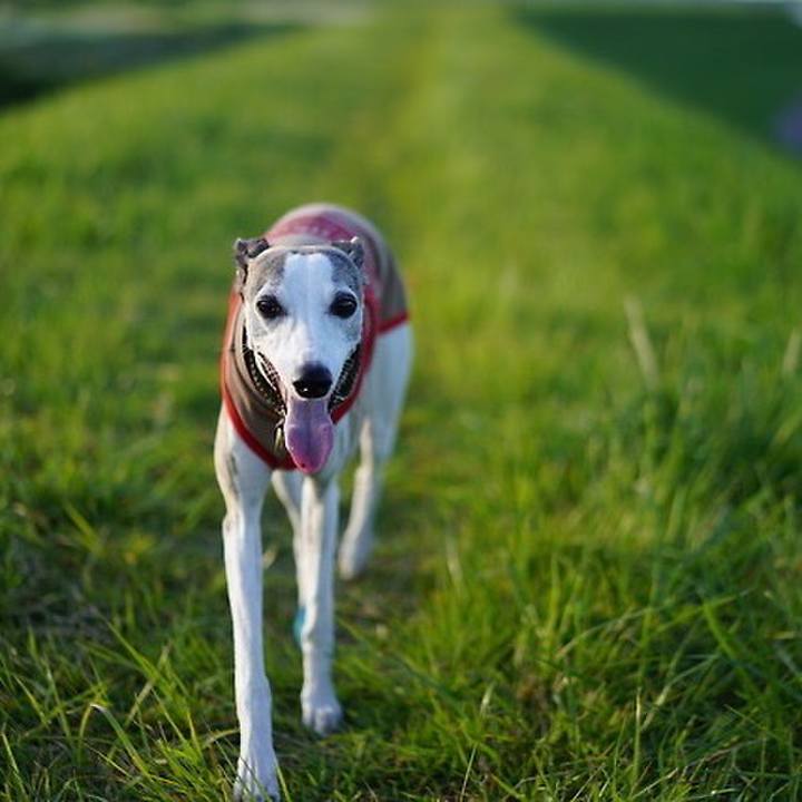 E95f90e1 1148 4e3c a791 8b606ccfd89b 1537621133352