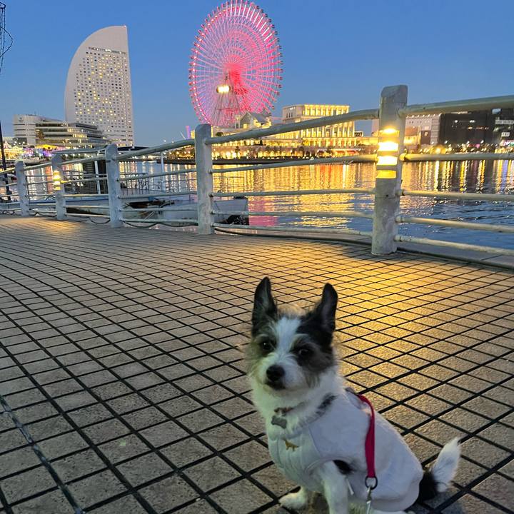 E95fc943 882c 4c9b ac42 54eca541b608 1703319941686