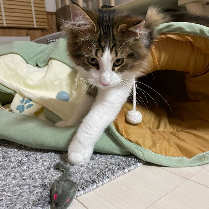 E95fe2a4 79eb 489a a216 948987975bec 1637577562827