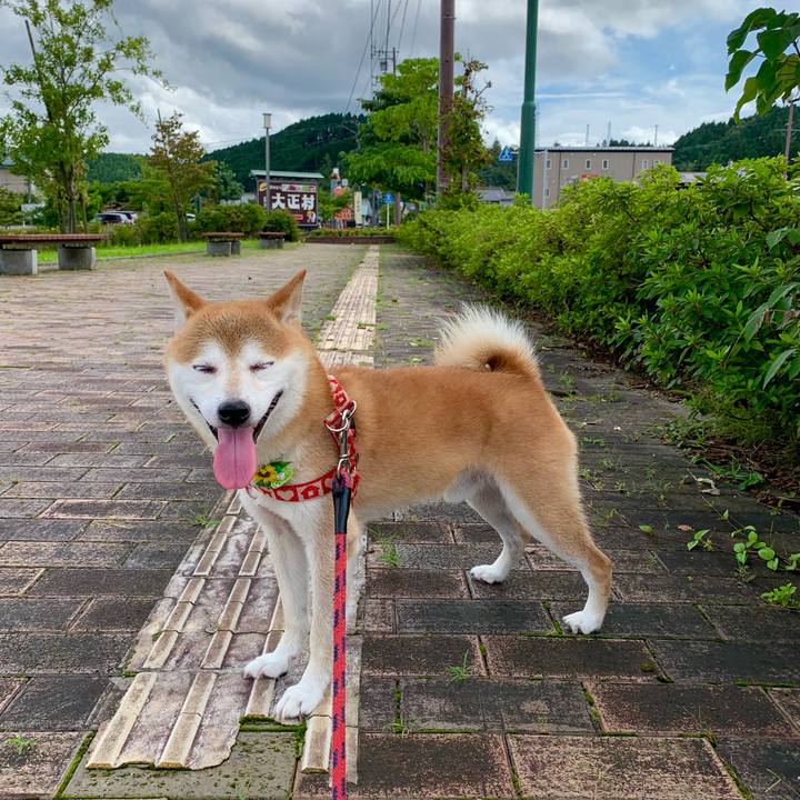 E95ffa1f fd38 43dd 8e17 318868f28597 1629714746819