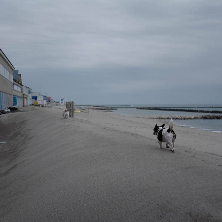 E9601847 804c 48fa ae72 c3abca7e73ee 1522989648737