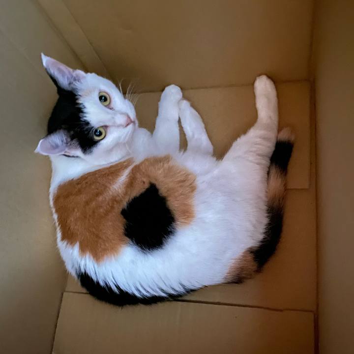 E96026da 1748 4a21 94c6 cc56eb3c4266 1726151097533