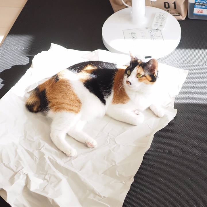 E960633f 0e1d 4996 bd72 0f53642272e0 1543189430951