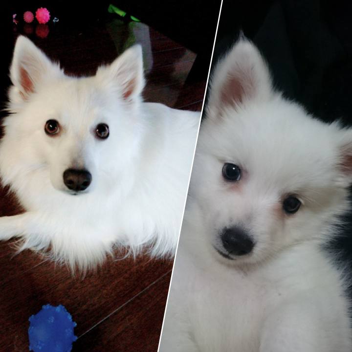 E9607942 4911 4700 b80f b0a856a7647c 1554702995602