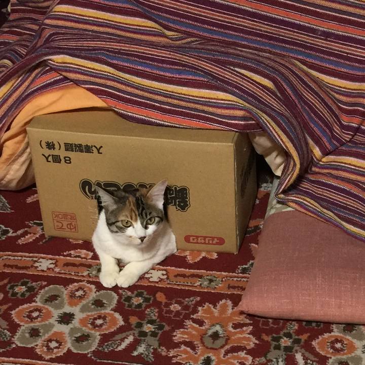 E9608916 dc5a 4127 9f39 278ca1793e38 1644146833830