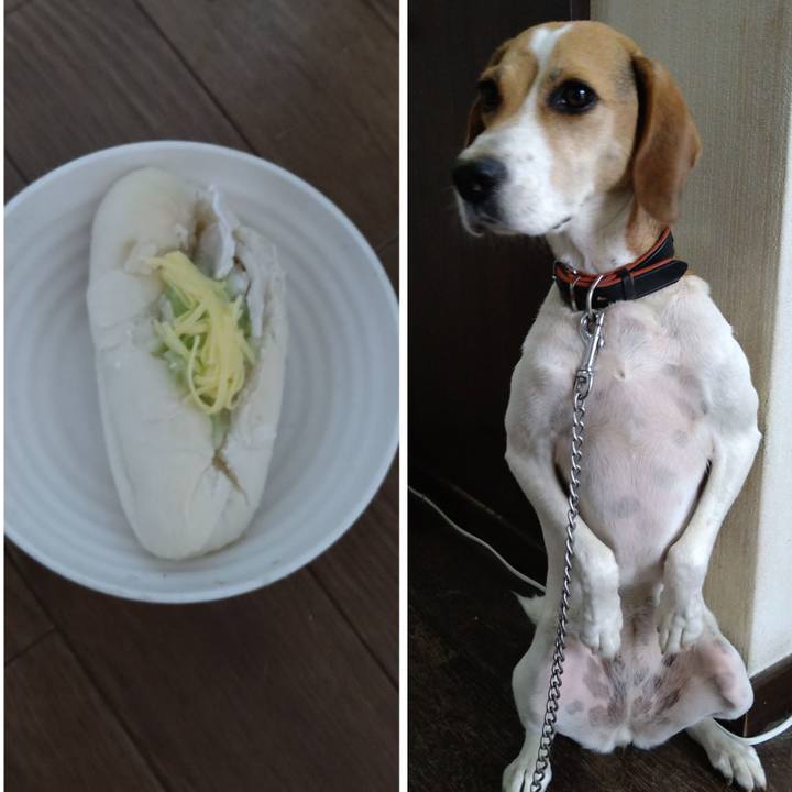 E960c01f b2b6 496c 8e62 880d7b87439e 1628487125307