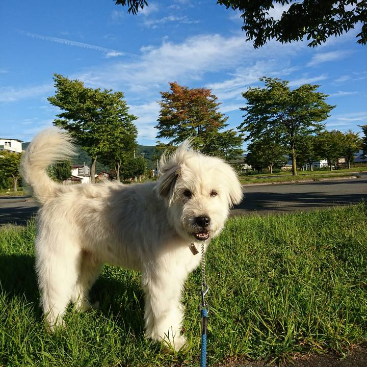 E960cb4f a4e8 47d4 b07f 7c3f976f86e2 1569485237343