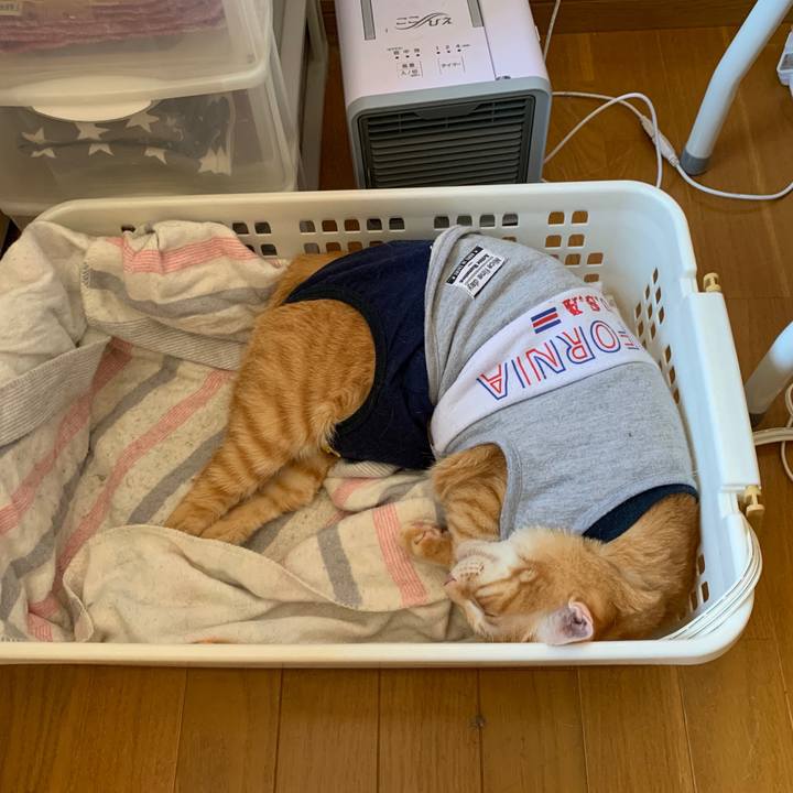 E960e9e1 fd57 4c3a aa15 c15f9b775e97 1603592966378