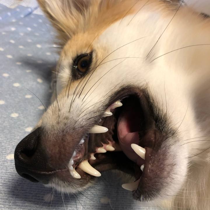 E960f461 4963 4e75 a794 787c2e8fd1b4 1566473821458