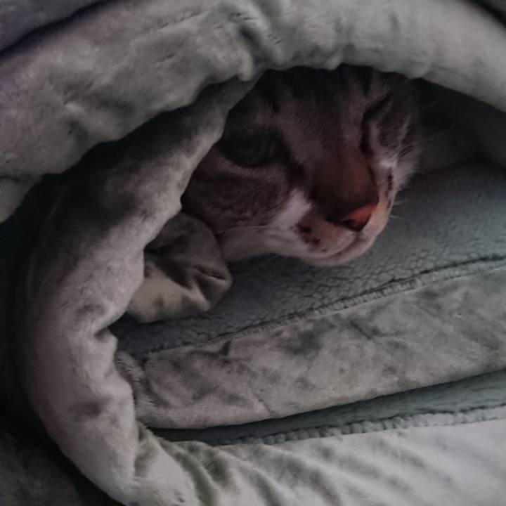 E960fe9f 4fa1 420c a73c 0f1240f5e3a0 1574288580420