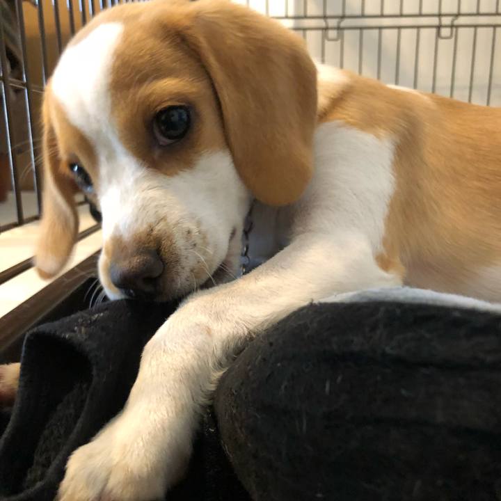 E96103aa 25a8 463a b9aa 09660aa24bad 1524407057831