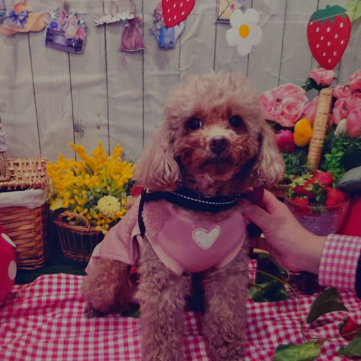 E9610d30 8cf5 4f7c 8ffe b7068ee87e49 1742444360659