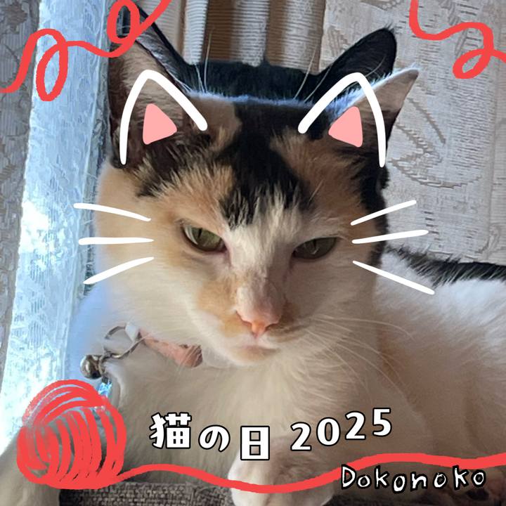 E9610f78 1d75 40e8 b55b fd1d0f67899a 1740189336116