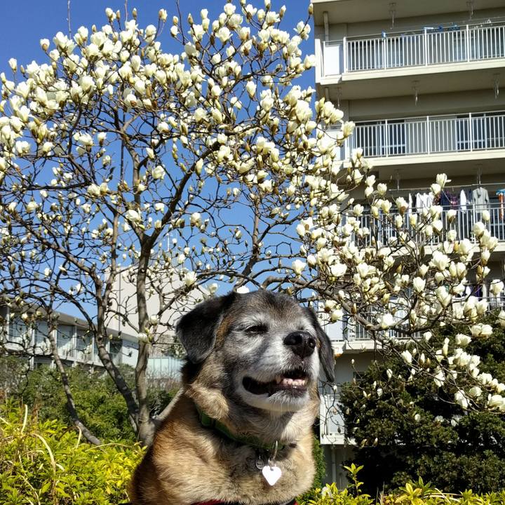 E9612612 c74e 496e 9488 1ec6030f3a6e 1520992801183