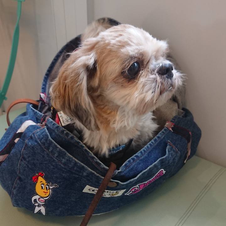 E961339d 9edc 4afe ac89 16938583b503 1542536372172