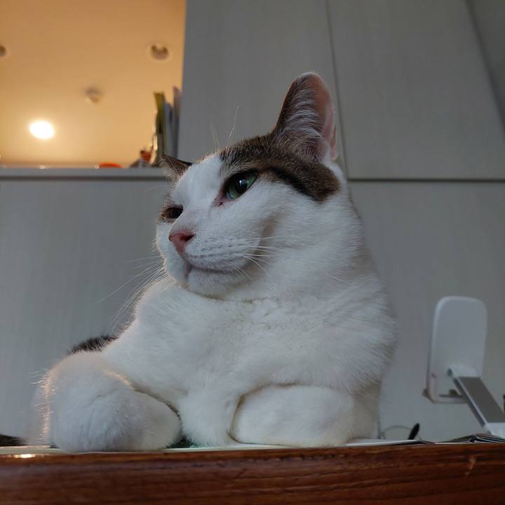 E96150e9 9c62 4cc5 b72a 499885484c51 1688501022566