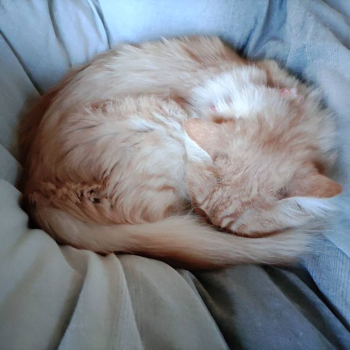 E96156ca e5b7 4f77 8bda ec59b9930eb1 1670111186505