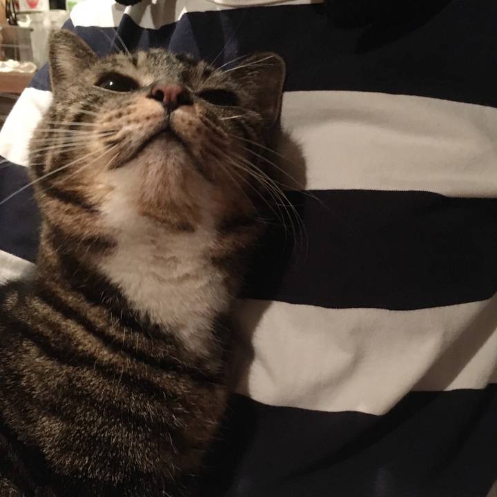 E96170cb 50e1 42f4 93d4 3b1e1c8e1f2d 1587127025256