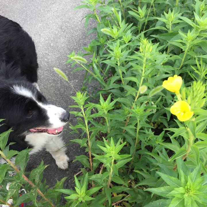 E961765e d448 44b8 a0af e2b3ff4453c0 1562282998783