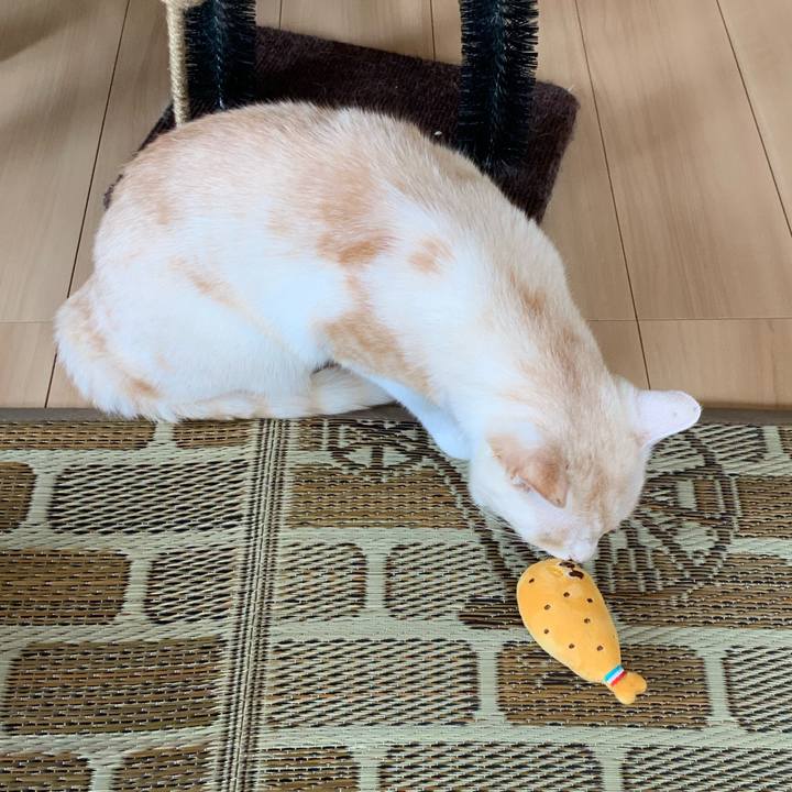 E96180a1 2864 4035 80f8 4deaf7fefb69 1752017283472