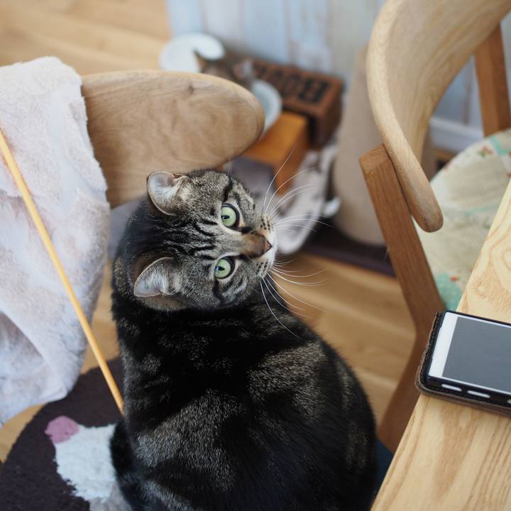 E96189f3 8539 4860 9c71 2d69cf96bf8c 1587535952007